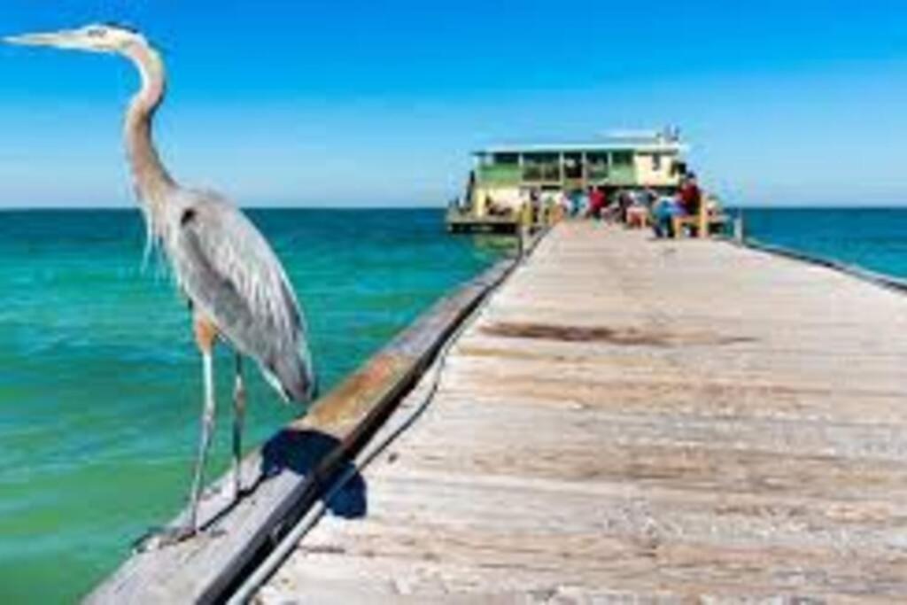 Apartament Waterview Oasis Retreat, Minutes To Anna Maria Island And Img Bradenton Zewnętrze zdjęcie